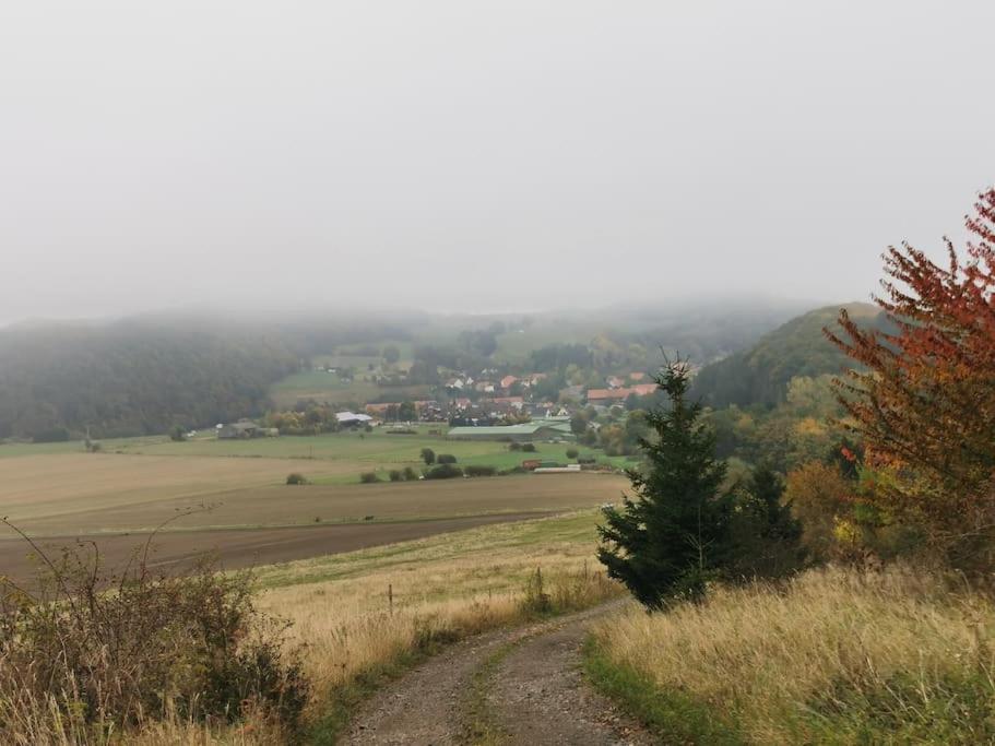 Fewo Albrecht Direkt Am Diemelsteig Diemelsee Exterior foto